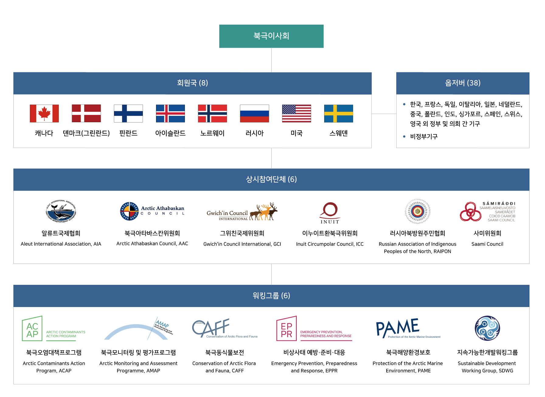 북극경제이사회 조직도. 북극이사회 아래에 북극연안국 8개국 (캐나다, 덴마크(그린란드), 핀란드, 아이슬란드, 노르웨이, 러시아, 미국, 스웨덴), 38개의 옵저버 기구, 8개의 상시참여단체(알류트국제협회, 북극아타바스칸위원회, 그위친국제위원회, 이누이트환북극위원회, 러시아북방원주민협회, 사미위원회), 6개의 워킹그룹(북극오염대책프로그램, 북극모니터링 및 평가프로그램, 북극동식물보전, 비상사태 예방 준비 대응, 북극해양환경보호, 지속가능한개발워킹그룹)가 있다.