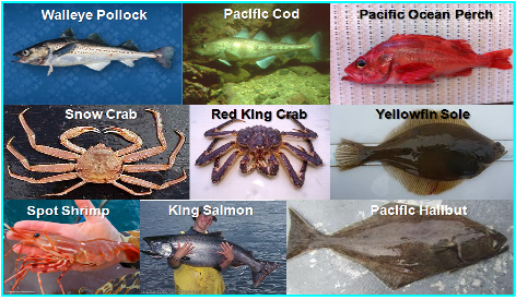 알래스카 주변 해역의 주요 어종